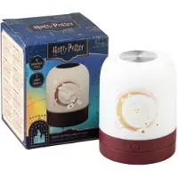 Grupo Erik Harry Potter Hedwig Lampa