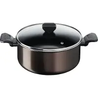Tefal Easy Cook & Clean holländsk ugn 24 cm + glaslock, icke-induktion, non-stick beläggning, tillverkad i Frankrike B5544602