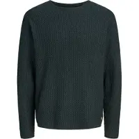 Jack & Jones Blumason Tröja