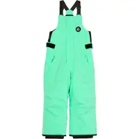 Quiksilver - Skidbyxor barn - Boogie Kids Pant Spring Bouquet för Unisex - Barnstorlek 4-5 år - Grön