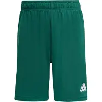 Adidas Entrada 26 Shorts