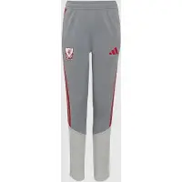 Adidas Liverpool Träningsbyxor Tiro 26 EU - Grå/Röd Barn - , storlek 152 cm