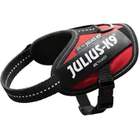 JULIUS K-9 Idc Baby Hundsele