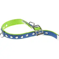 Ferplast Dual 25 Mm 45 Cm Hundhalsband