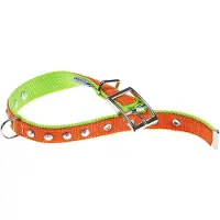 Ferplast Dual 25 Mm 45 Cm Hundhalsband