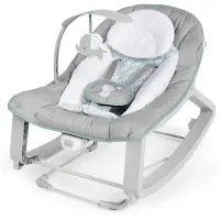 Ingenuity Grey Baby Hängmatta