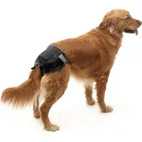 Savic Comfort Nappy T7 74-84 Cm Engångsblöja För Hund 12 Enheter
