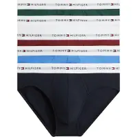 Tommy Hilfiger 5 Pack Signature Repeat Logo Waistband Briefs