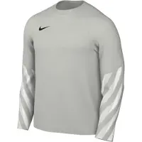 Nike Målvaktströja Dri-FIT Park V - Grå dimma/Vit, storlek Large