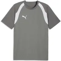 Puma Tränings T-Shirt teamFINAL26 - Grå/Vit, storlek Medium