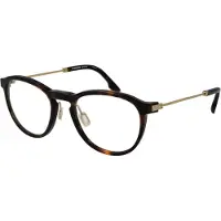 Rodenstock Optical Frame R8031 A000 53 Titanium