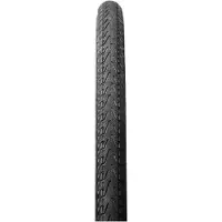 Panaracer Pasela Protite 700c X 25 Urbandäck