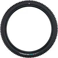 Schwalbe Albert Gravity Pro Soft Radial Tubeless 2026 29´´ X 2.60 Mtb-däck