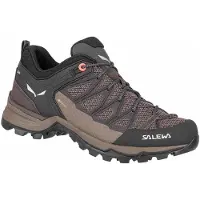 Salewa Mountain Trainer Lite Gore-tex Vandringsskor