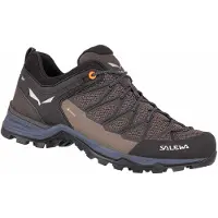 Salewa Mtn Trainer Lite Gore-tex Vandringsskor