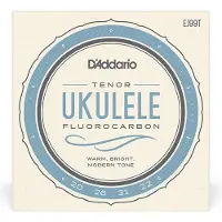 D'addario And Co EJ99T