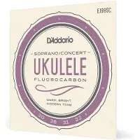 D'addario And Co EJ99SC