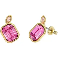 Ted Baker Örhängen 'MICHELLE' guld / rosa