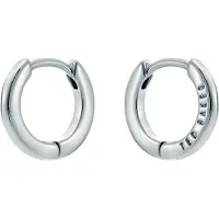 Ted Baker Örhängen silver
