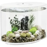 OASE biOrb 86415 biOrb LOOP 30 LED weiß Akvarium EEK: G (A - G) 30 l med LED-belysning