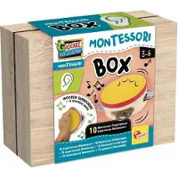 Liscianigiochi Montessori box med lyssinstrument 105489 LISCIANI