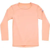Devold Breeze Plus Merino T-shirt Med Lång ärm