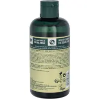 The Body Shop Moringa Duschgel 250 ml