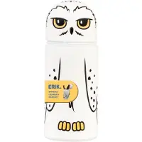 Erik Harry Potter Hedwig Pennskrin