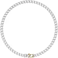 Emporio Armani Halsband guld / silver