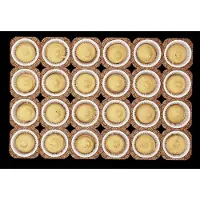 Usorteret Muffinformar rektangulära 50 x 50 x 36 mm pergamentpapper vit, 50 st/förp.