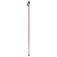 Fischer Storm Gtx S Stavar