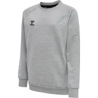 Hummel Sweatshirt i Bomull - , storlek 152 cm