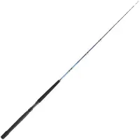 Daiwa Tanacom Boat Bottenfiskespö