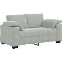 vidaXL Loveseat soffa ljusgrå 160x77x82 cm sammet