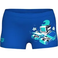 Arena Game Badbyxor Boxer
