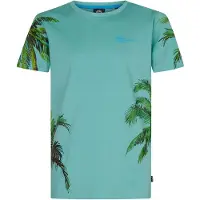 Petrol Industries B-1050-tsr130 T-shirt Med Korta ärmar
