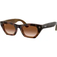 Ray-Ban Zena Solglasögon
