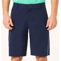 Oakley Apparel Perf 5 Utilitys 2.0 Shorts
