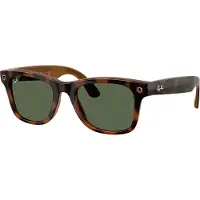 Ray-Ban Wayfarer Large Solglasögon