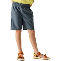 Regatta Sorcer Iii Shorts