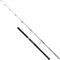 Penn Regiment Iv Offshore Spinnfiskespö