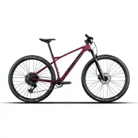 Lapierre Prorace Cf 6.9 29´´ Eagle 70 2026 Mtb Cykel