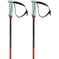 Völkl Phantastick 16 Mm Stavar