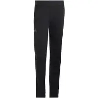 Adidas Terrex Xperior Cross Country-ski Softshell Byxor, storlek Small
