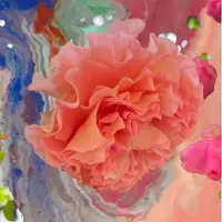 Import Conic Rose: Heller Tag