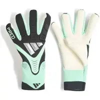 Adidas Målvaktshandske Predator Pro Final Rush - Svart/Grön/Silver, storlek 9½