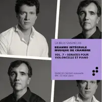 OUTHERE Brahms: Integrale Musique De Chambre Vol 7