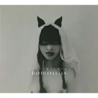 Virgin Music Group B V Cnt Sylvian David: Sleepwalkers 2022