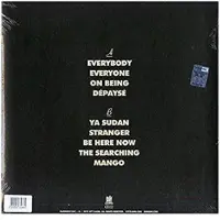 Import Sinkane: Dépaysé (Orange/Ltd)