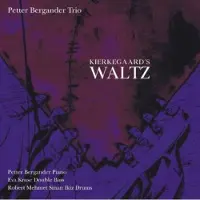 OUTHERE Petter Bergander Trio: Kierkegaard´s waltz